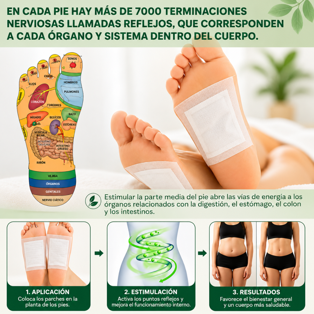 KINOKI DESINTOXICACIÓN (PACK X4) – Descanso, cuidado y bienestar para tus pies mientras duermes