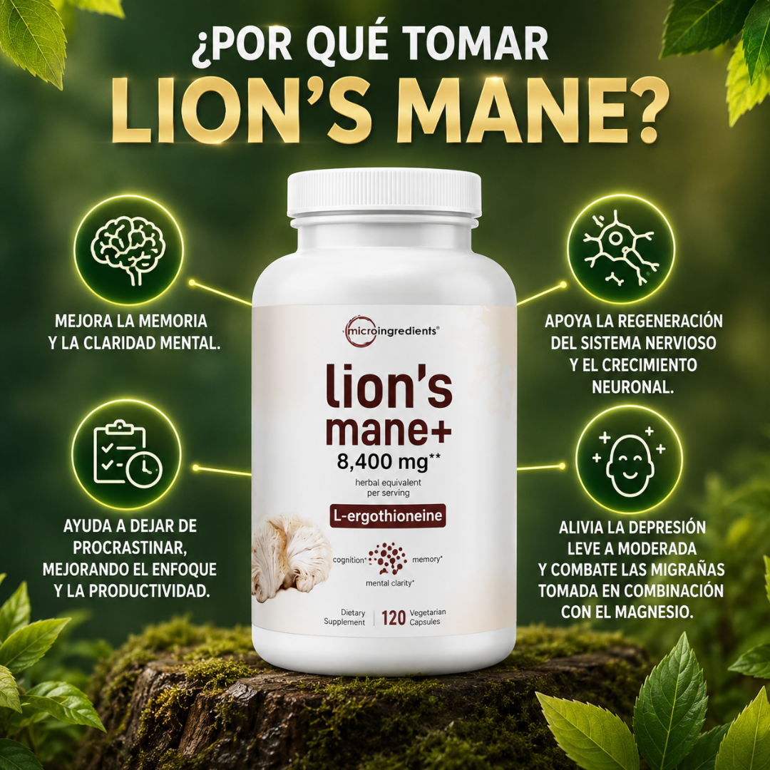 LION’S MANE - Memoria y enfoque diario