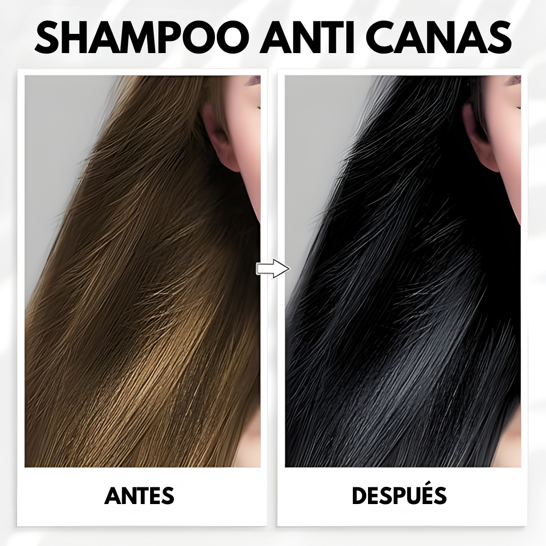 SHAMPOO PARA TEÑIR EL CABELLO DE NEGRO — Canas cubiertas sin salir de casa