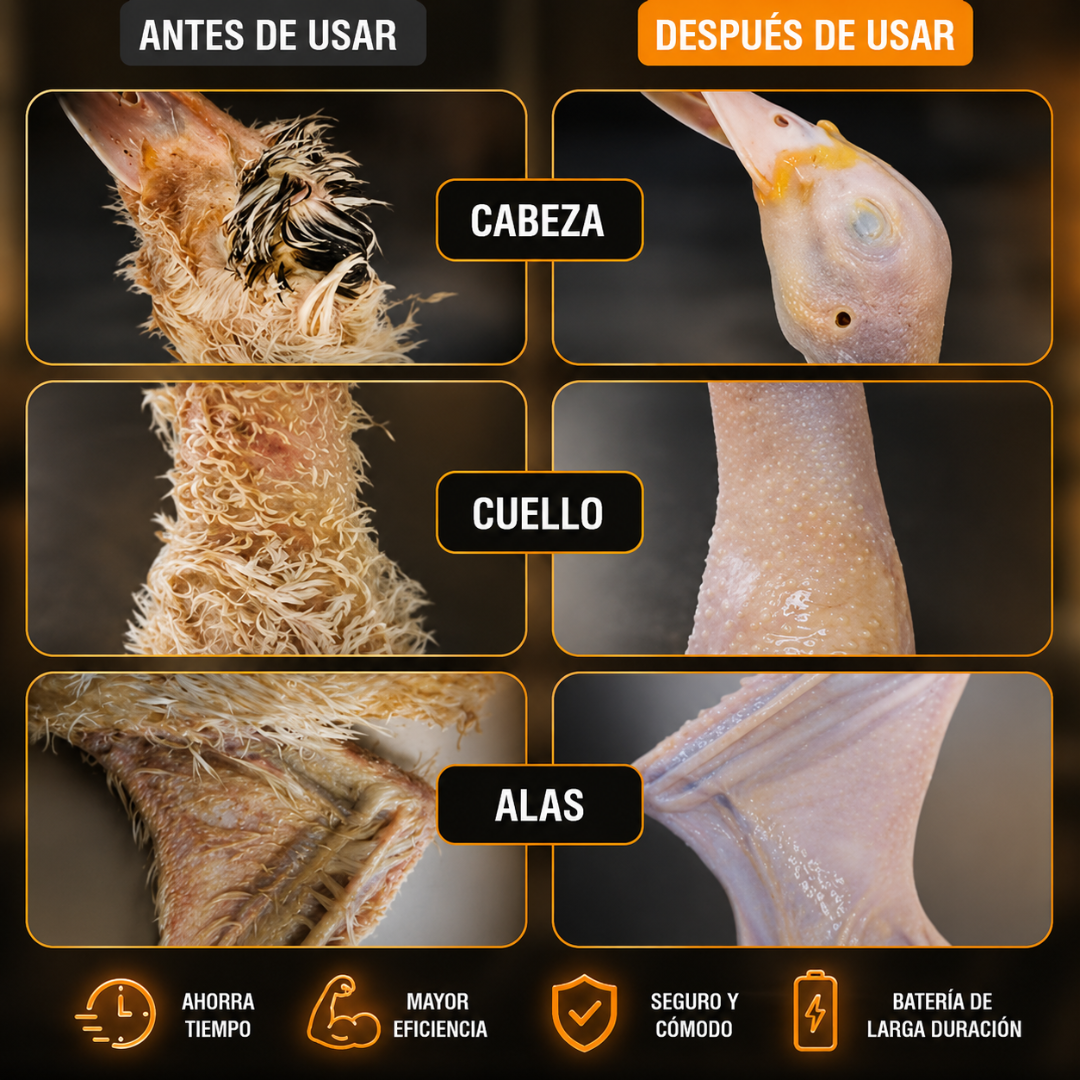 DESPLUMADOR DE POLLO – Desplumado rápido y uniforme