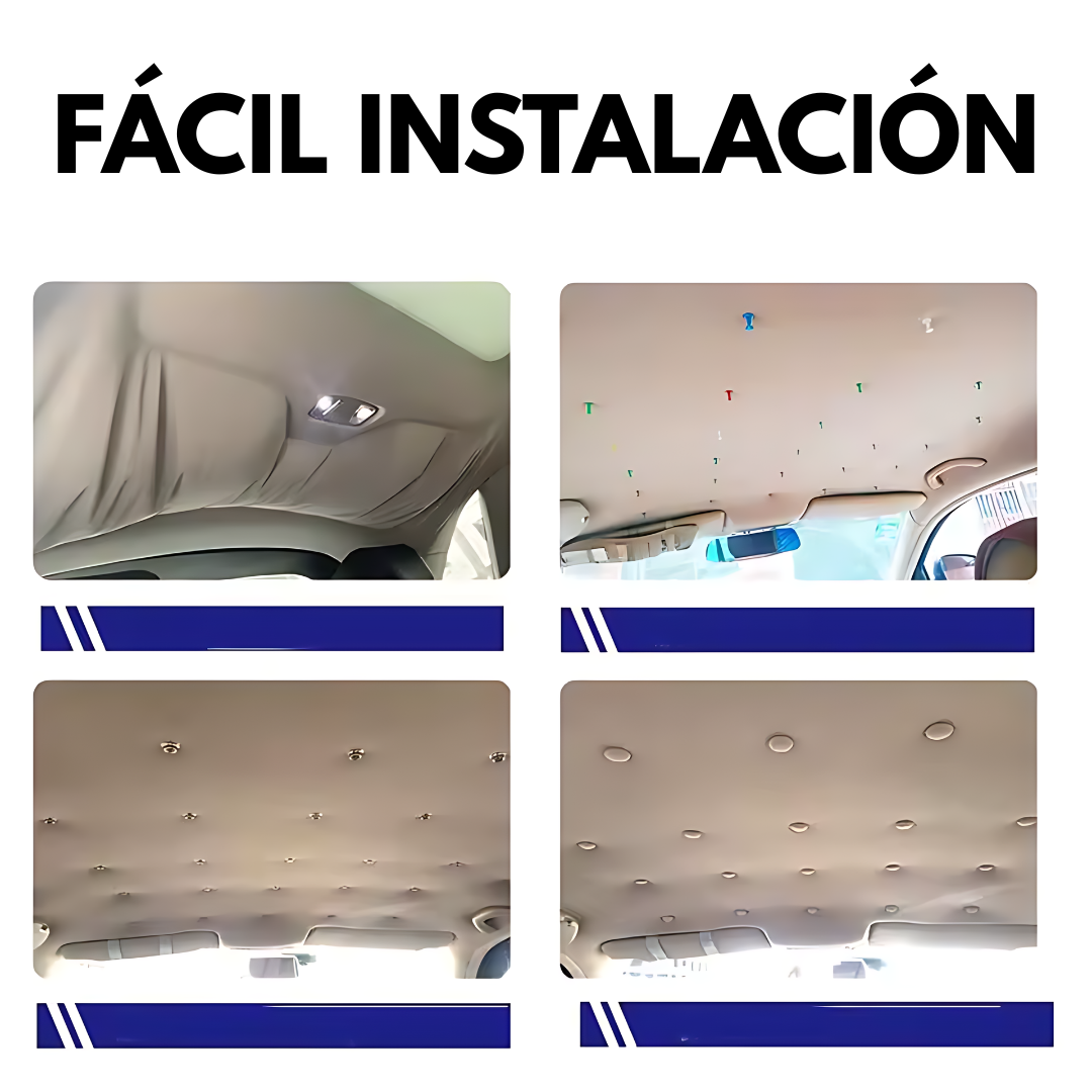 12 BOTONES DE FIJACIÓN DE AUTO (PACKx24) – Solución fácil y duradera para tu vehículo