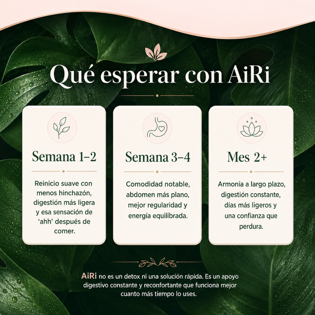 AIRI VITAL SOURCE – Apoyo digestivo para menos inflamación, más comodidad y abdomen ligero