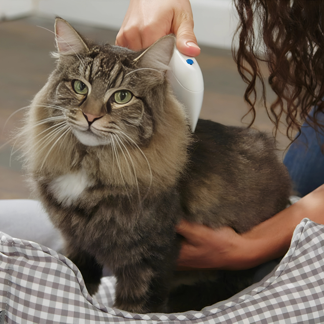 Peine Antipulgas PetGuard - Elimina las pulgas al instante y sin químicos, cuidando la piel de tu mascota.