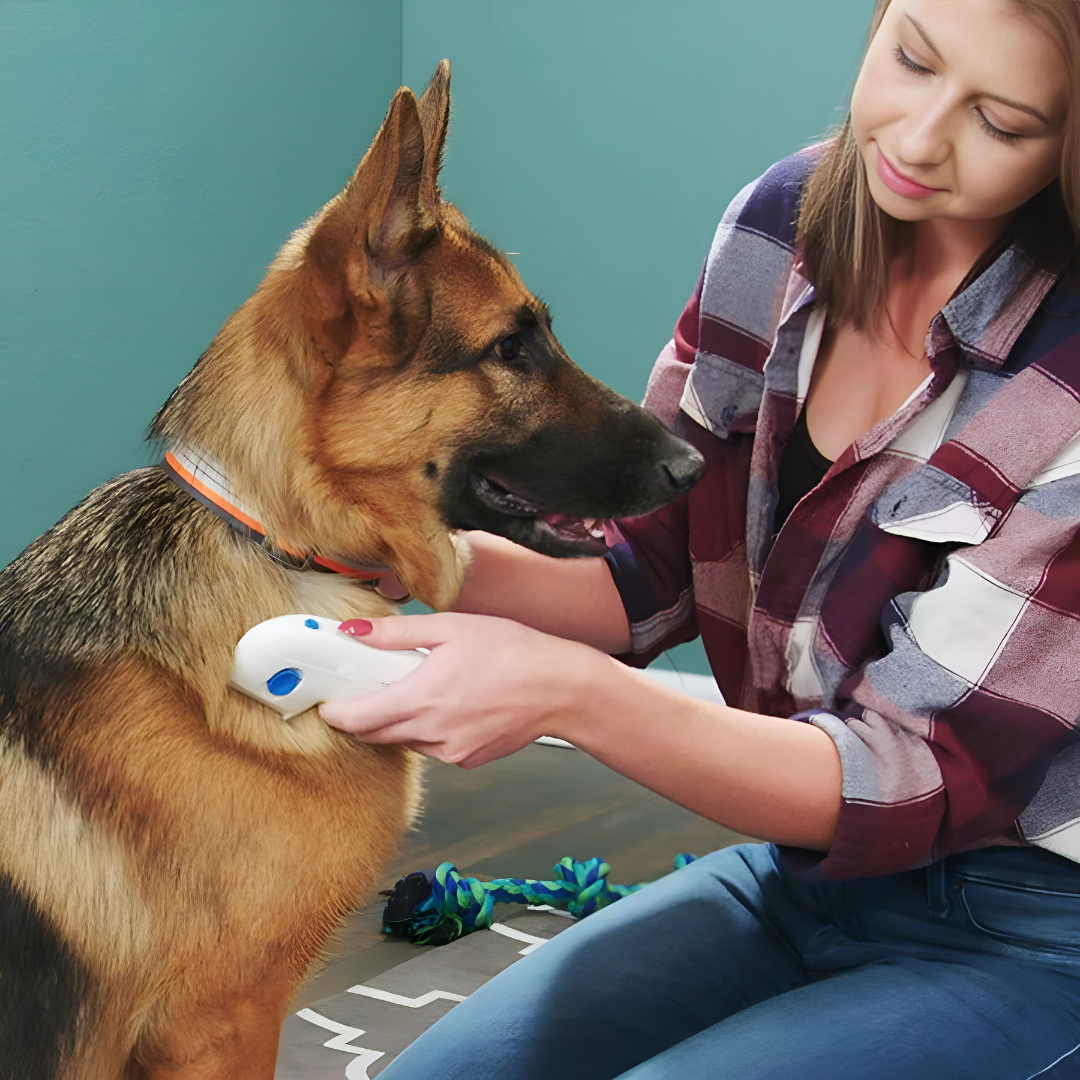 Peine Antipulgas PetGuard - Elimina las pulgas al instante y sin químicos, cuidando la piel de tu mascota.