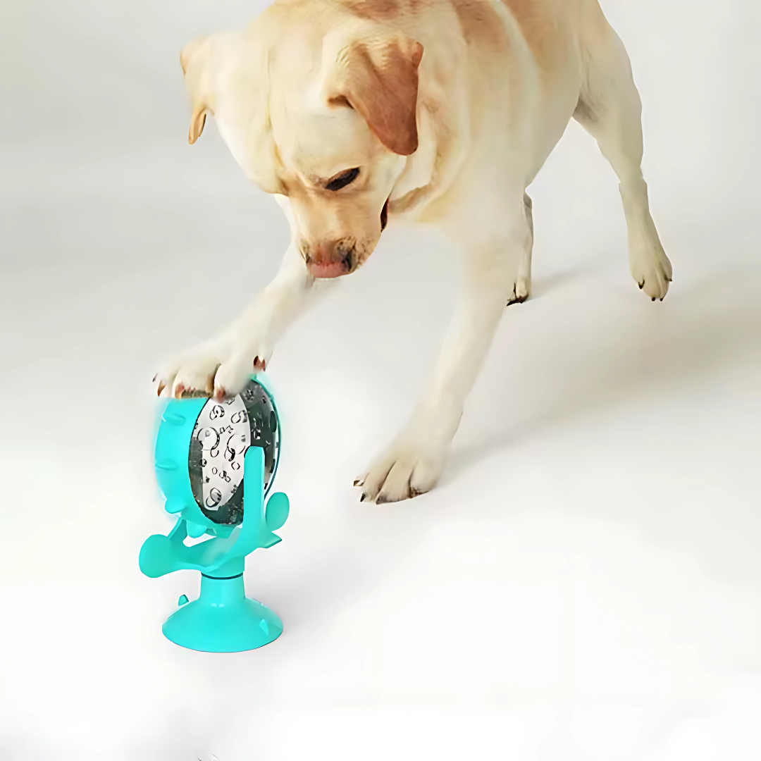 Dispensador SnackSpin - Gira y alimenta: mantén a tu mascota entretenida mientras come.