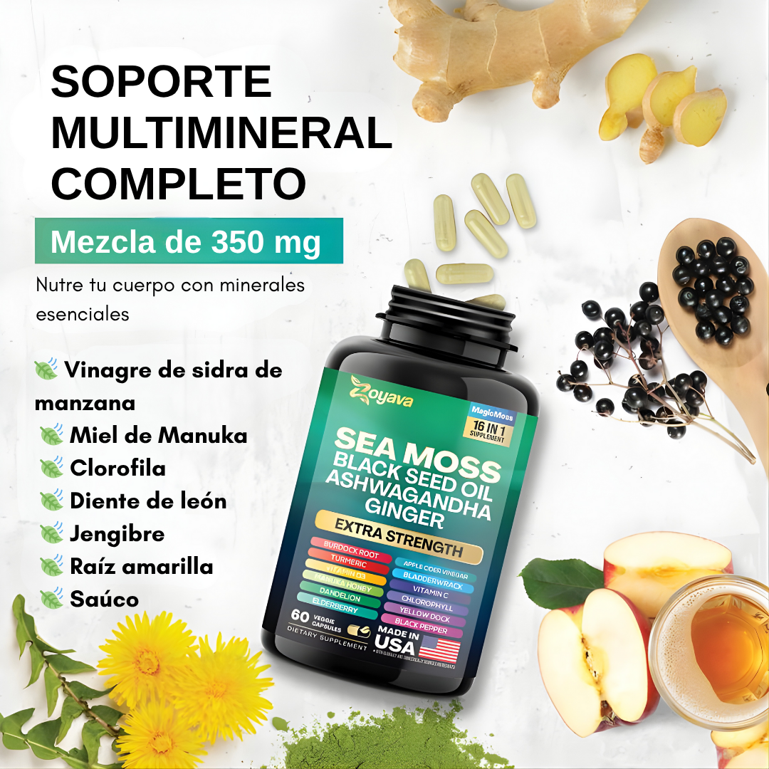 SEA MOSS – Vitalidad, energía y bienestar en cada cápsula
