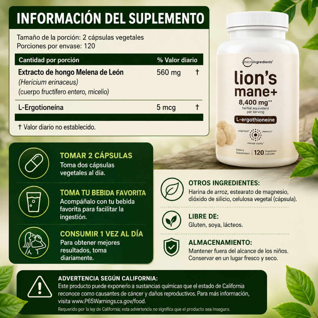 LION’S MANE - Memoria y enfoque diario