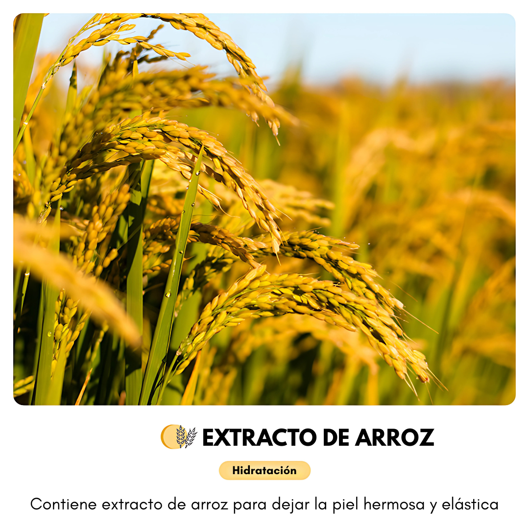 MASCARILLA FACIAL DE ARROZ (PACK X4) – Hidratación y luminosidad natural