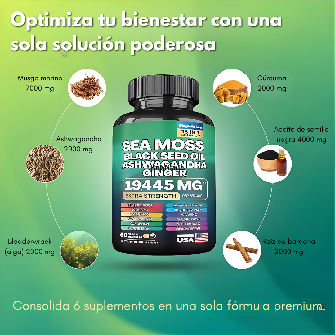 SEA MOSS – Vitalidad, energía y bienestar en cada cápsula