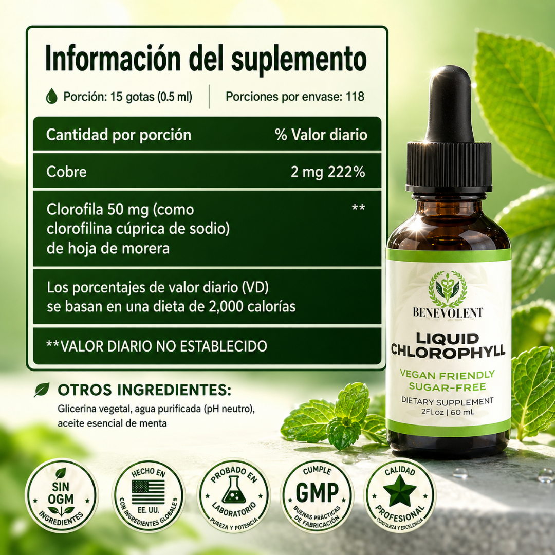 LIQUID CHLOROPHYLL 59ML – Apoyo digestivo para sentirte más ligera cada día