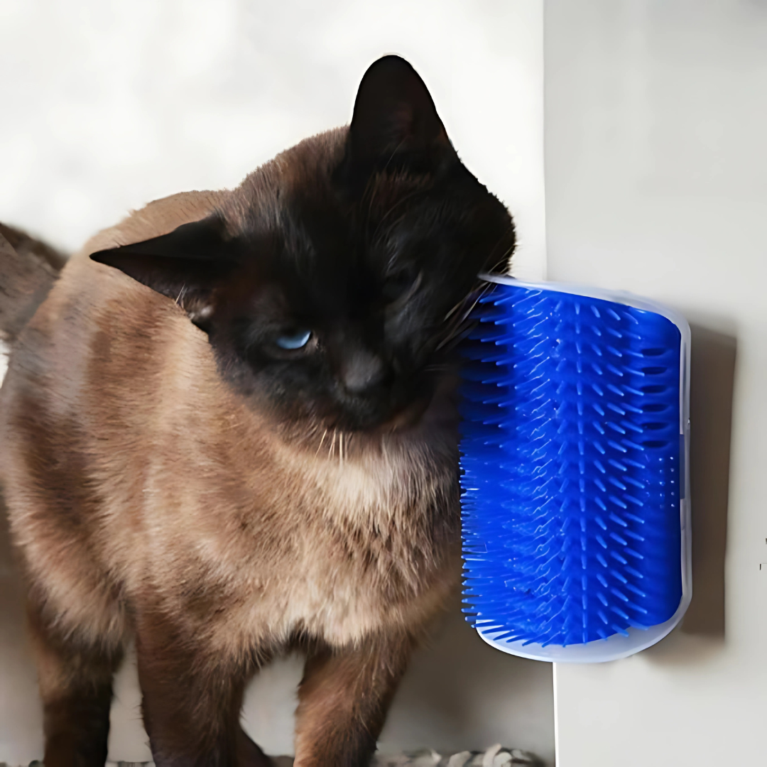 CEPILLO RASCADOR GATO (PACK DE 2) – Relaja, masajea y elimina el pelo suelto