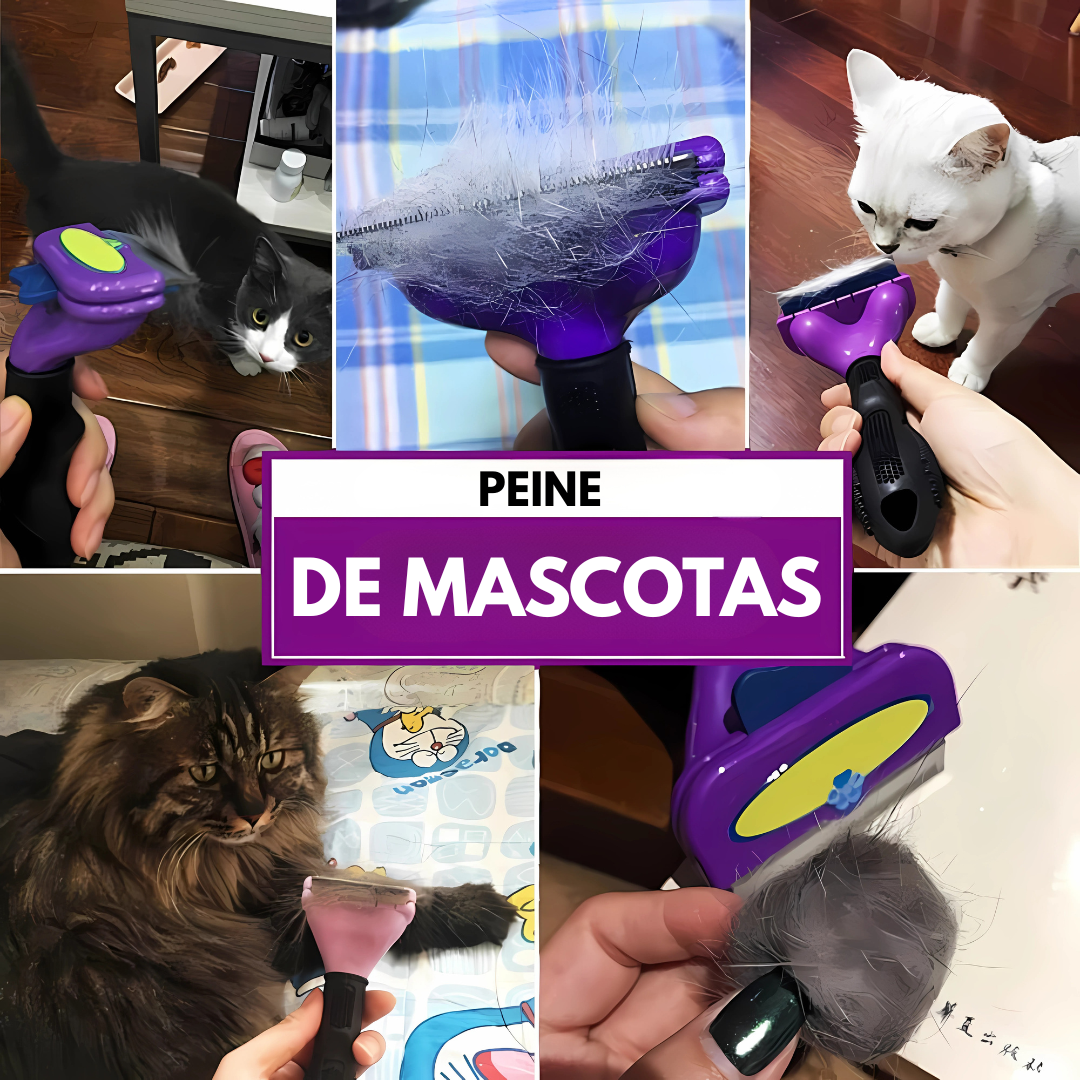 PEINE DE MASCOTAS – El cuidado que tu compañero peludo merece