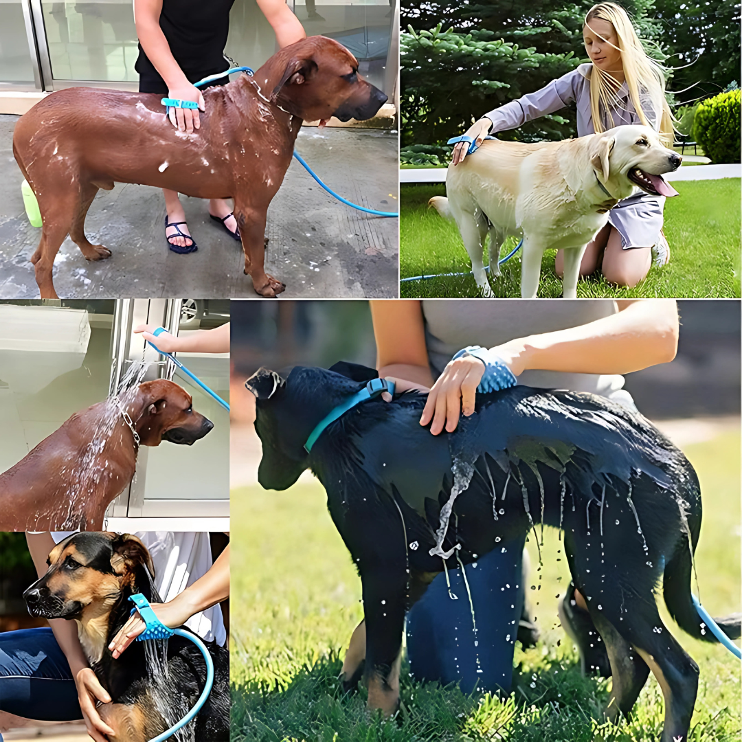 MANGUERA CEPILLO BAÑO PARA PERRO – Baños fáciles, rápidos y sin desastres