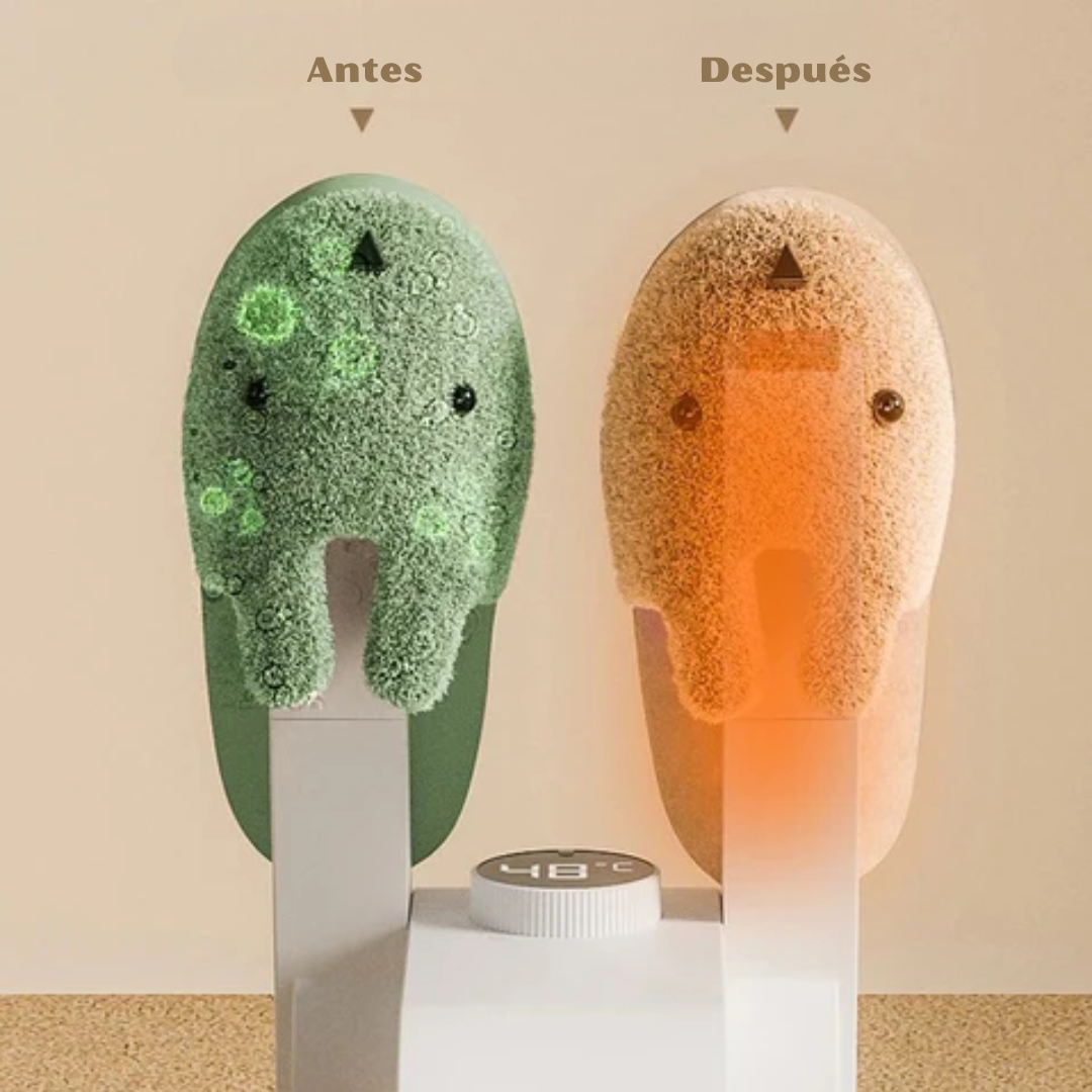 QuickDry Sole – Tus zapatos secos y listos en minutos
